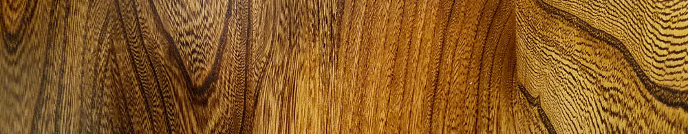 Sample of Elm wood
